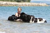 ADULTE ET CHIEN 100
